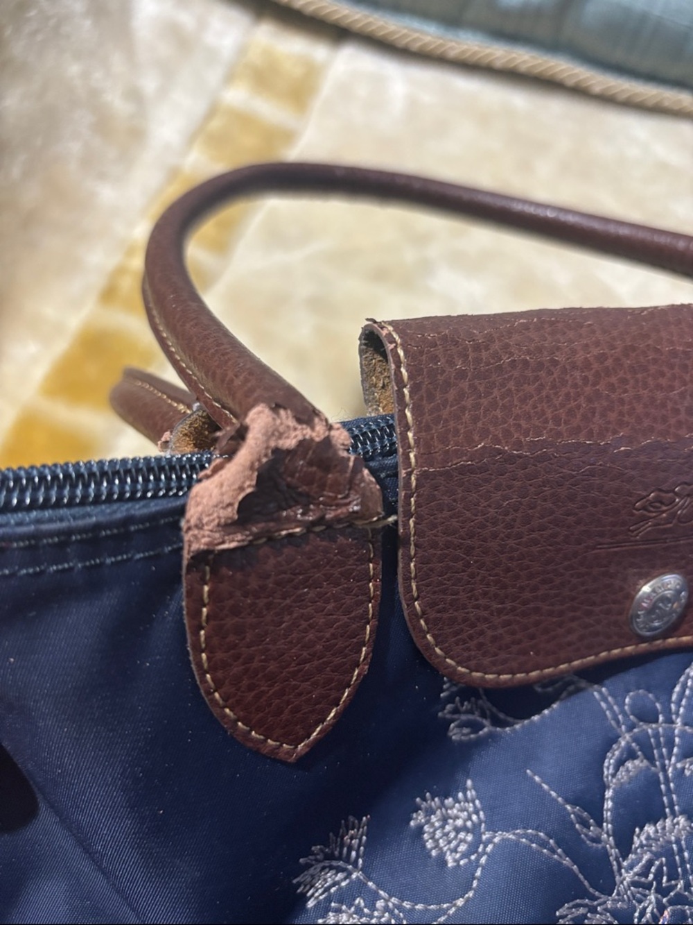 Longchamp Limitee Edition Embroidered Tote Bag - Picture 4 of 12